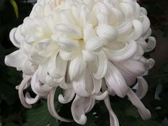 -汇龙潭