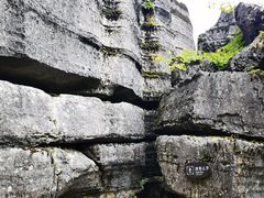 -梭布垭石林景区