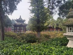 -洛阳白马寺