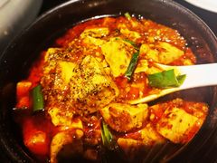 -陈麻婆豆腐总店