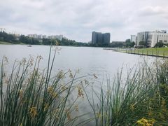 -美兰湖景区