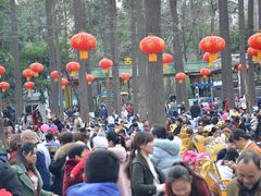 -绵阳人民公园(涪城区)