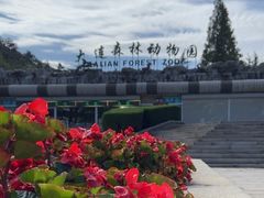 -大连森林动物园