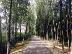 -昆山城市生态森林公园