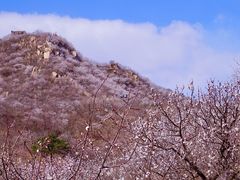 -龙泉峪长城