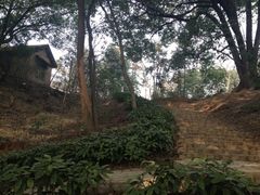 -蜀冈西峰生态公园