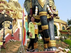 -瑞丽独树成林风景区