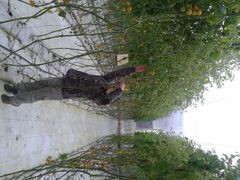 android_upload_pic-云幽谷旅游区