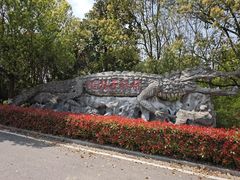 -中国扬子鳄村