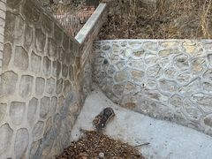 -北京西山国家森林公园