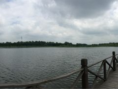 -溱湖国家湿地公园