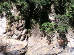 -太鲁阁公园
