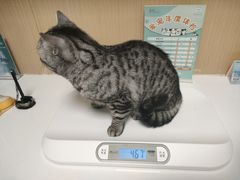 -谐和益家动物医院·免疫绝育·血液透析·宠保定点医院(高新伊藤分院)