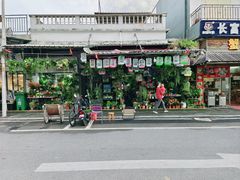 -溪岸路花鸟市场