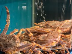 水产区-蟹田居·活蟹料理(东城店)