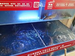 -集草轩·重庆麻辣烤鱼(西湖道店)