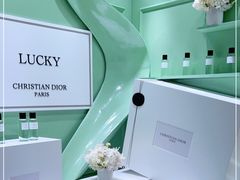 -DIOR迪奥(德基广场女装店)