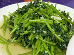 -林之六八·6886大连老菜馆