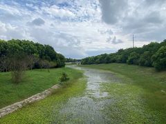 -上海海湾国家森林公园