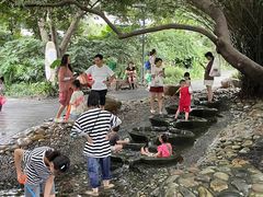 -成都市活水公园