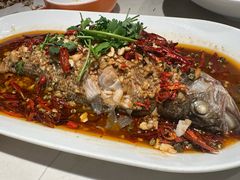 -杨氏青龙虾·羊蝎子(金盛路总店)