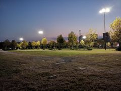 -野生动物园-停车场