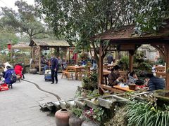 -青城甲(青城山店)