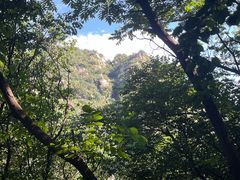 -大岭沟猕猴桃谷风景区