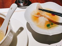 姜醋澳洲带子-觀芷隐轩