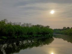 -日照海滨国家森林公园