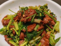 香菜炒牛肉-顺香居·老字号湖北菜(江汉路店)