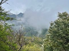 -秦岭终南山世界地质公园翠华山景区