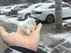 -山河屯铁锅炖(哈西站店)