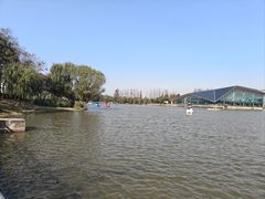 -上海长兴岛郊野公园