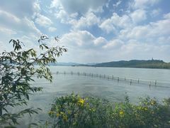 -湖畔居茶楼(湖滨店)