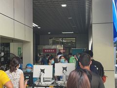 -深圳大学总医院