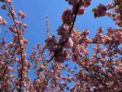 -苏州河梦清园环保主题公园