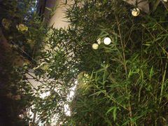 -贰醒·私房小院烧烤 (太古里店)