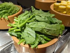 -龍歌自助小火锅(崂山丽达店)