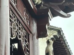 -檀园