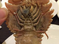 -索菲特西湖大酒店·香榭丽全日候餐厅(南山路店)