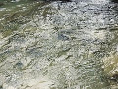 -郧西五龙河风景区