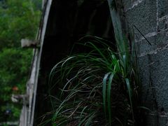 -鹿亭中村