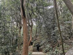 -九曜山