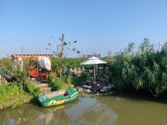 -樂桃源奉贤黄桃种植采摘基地