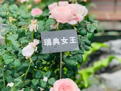 -大关公园