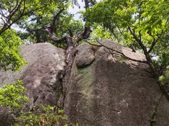 -安徽天堂寨风景区