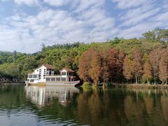 -深圳仙湖植物园