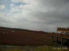 -红海滩国家风景廊道