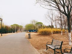 -永定河休闲森林公园